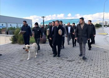 Üniversite öğrencilerinden hayvanlara yem desteği